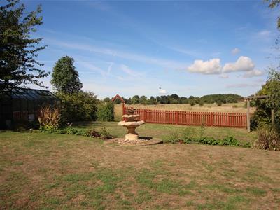 Picture 15